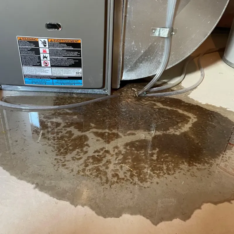 Appliance Leak Cleanup in Salem, OR